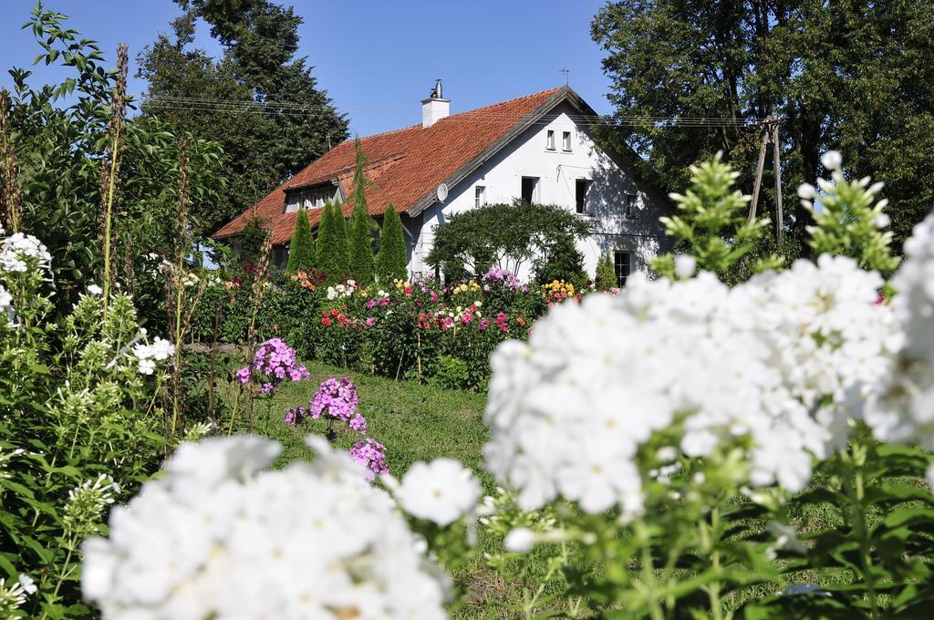 Agroturystyka Orzechowe Wzgorze Orzechowo  Екстер'єр фото