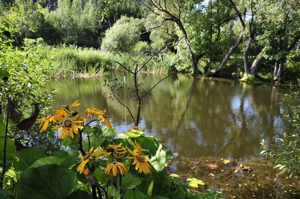 Agroturystyka Orzechowe Wzgorze Orzechowo  Екстер'єр фото